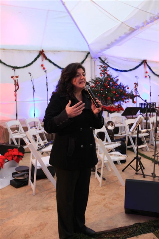 Arnaoon Christmas Village